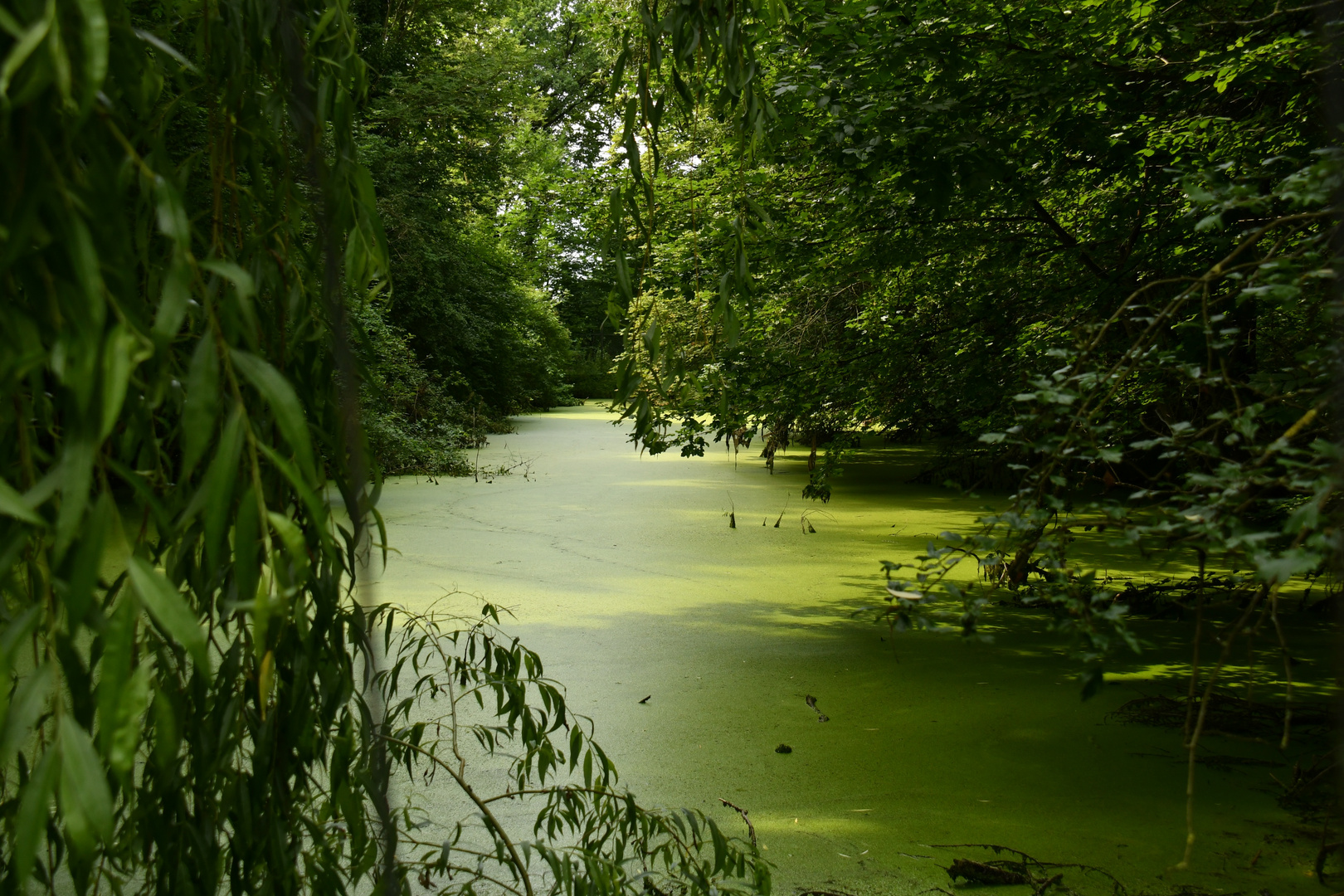 Grüne Hölle