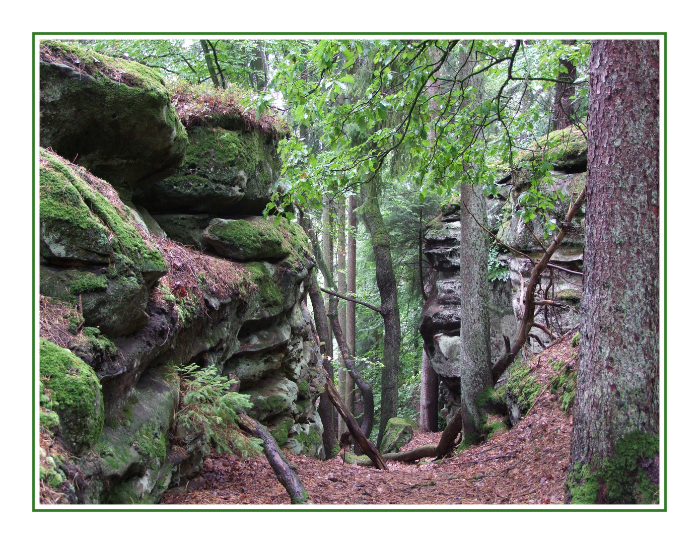 "Grüne Hölle", Bollendorf