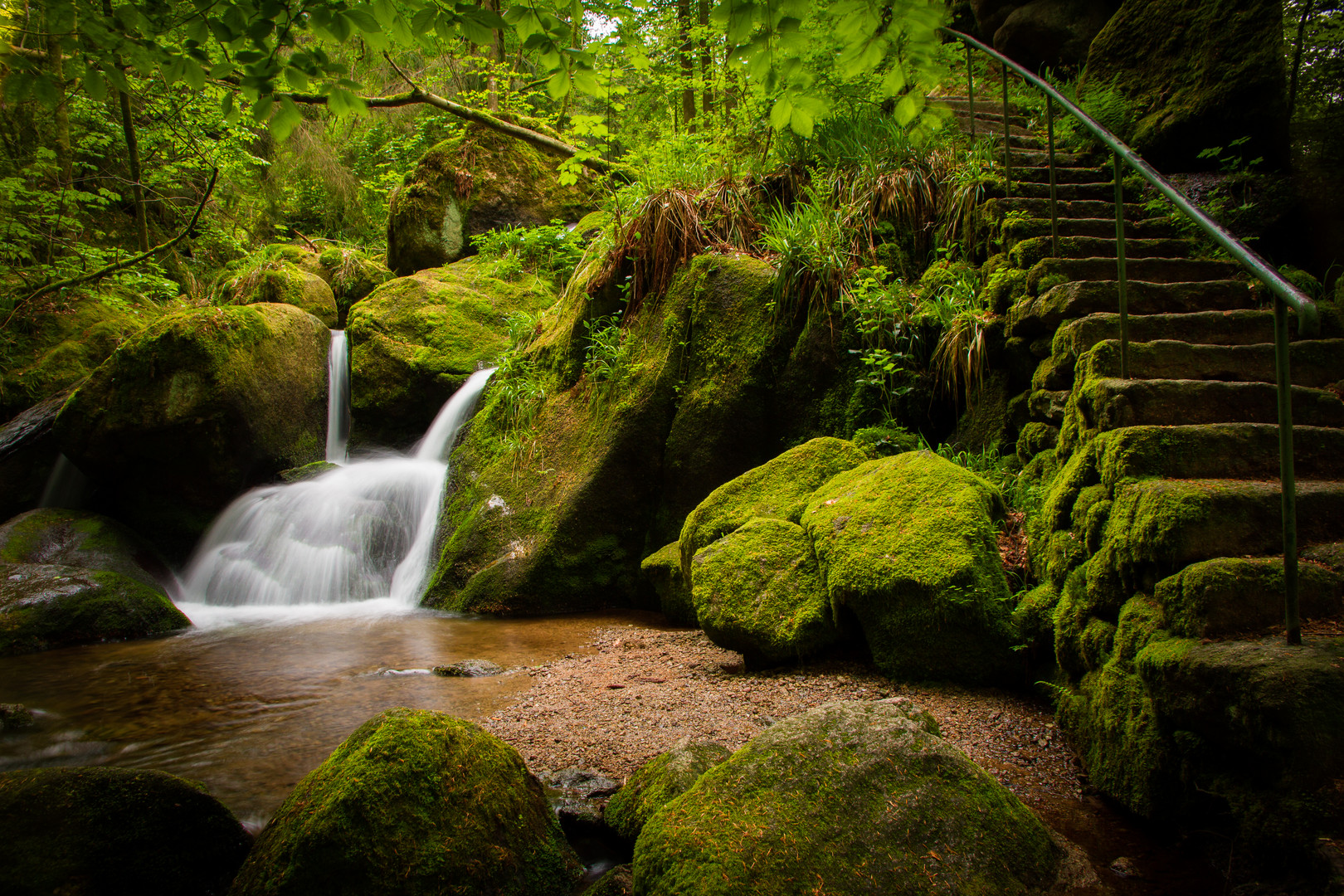 Grüne Hölle - im Gerstelbachtal