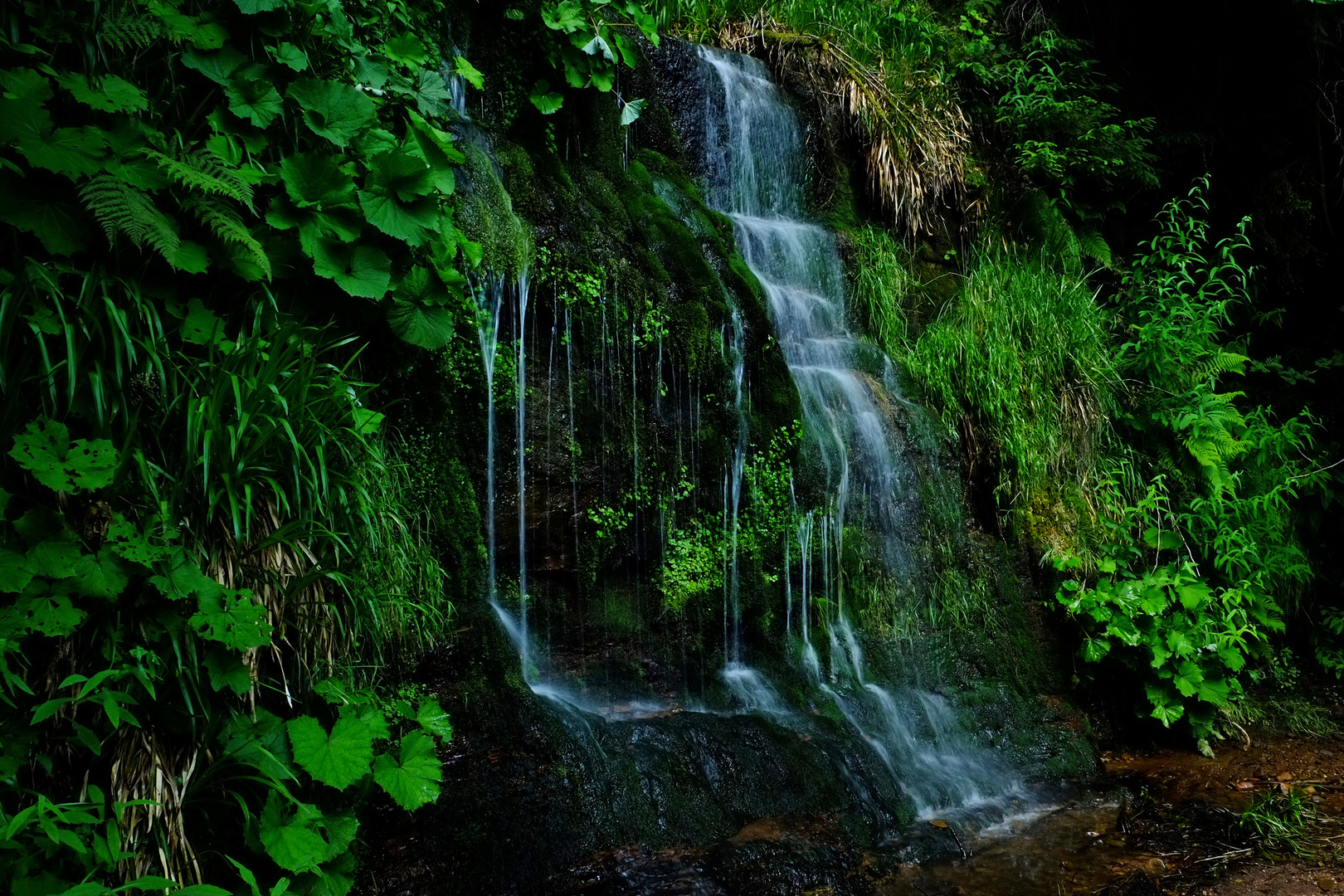 »Grüne Hölle« mit Wasserfall