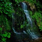 »Grüne Hölle« mit Wasserfall