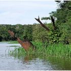 Grüne Hölle oder grünes Paradies...?