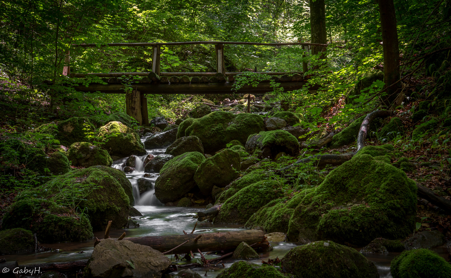 Grüne Hölle Zipfelbach