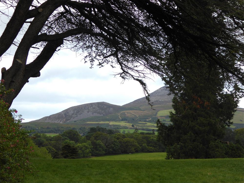 Grüne Hügel Foto & Bild landschaft, natur Bilder auf