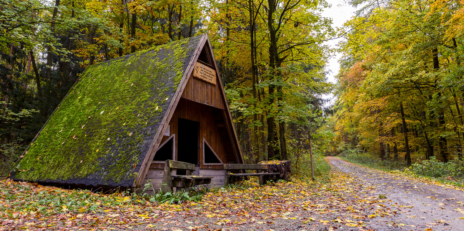 Grüne Hütte im Wilhelmswald