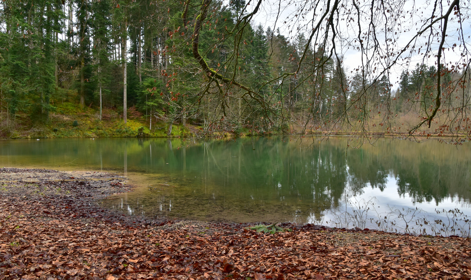 Grüne Idylle 