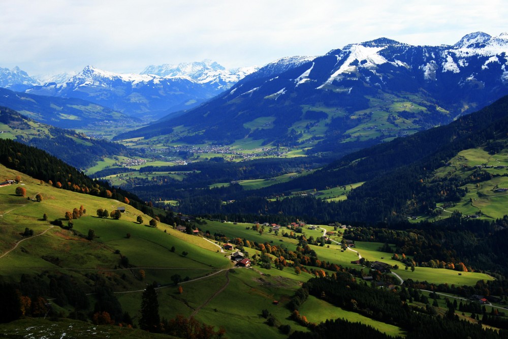 grüne Idylle