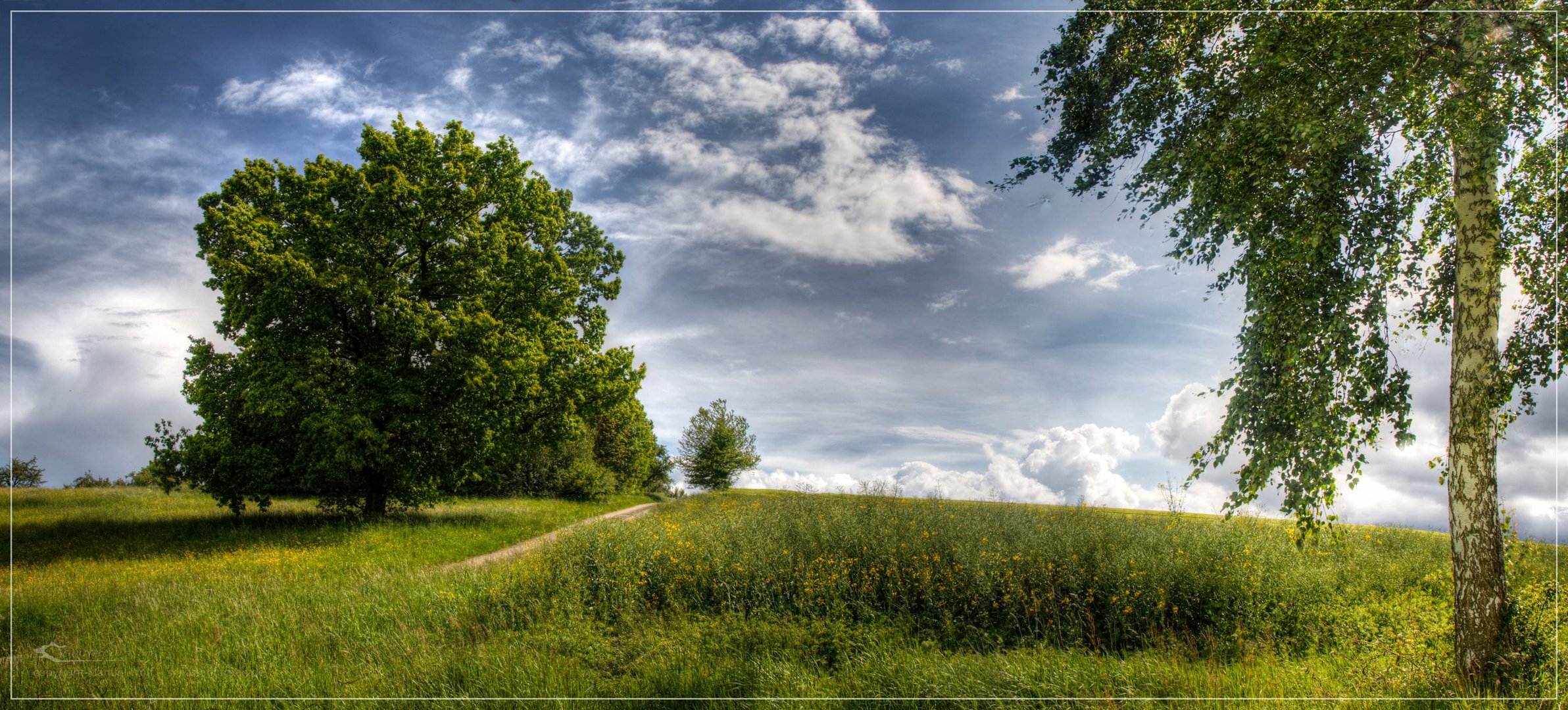 Grüne Idylle