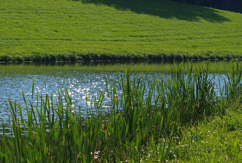 Grüne Idylle