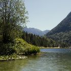 Grüne Idylle am Ferchensee