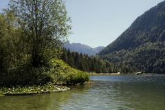 Grüne Idylle am Ferchensee