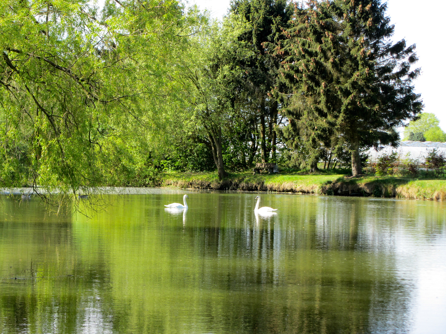 Grüne Idylle