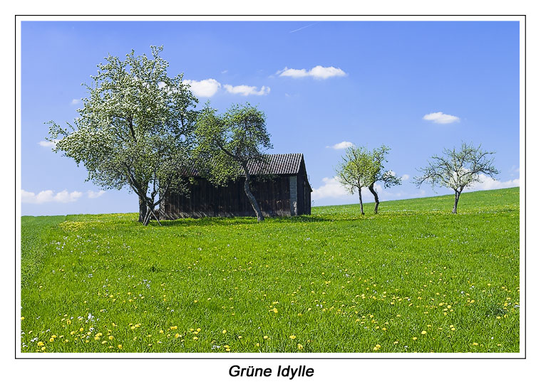 Grüne Idylle