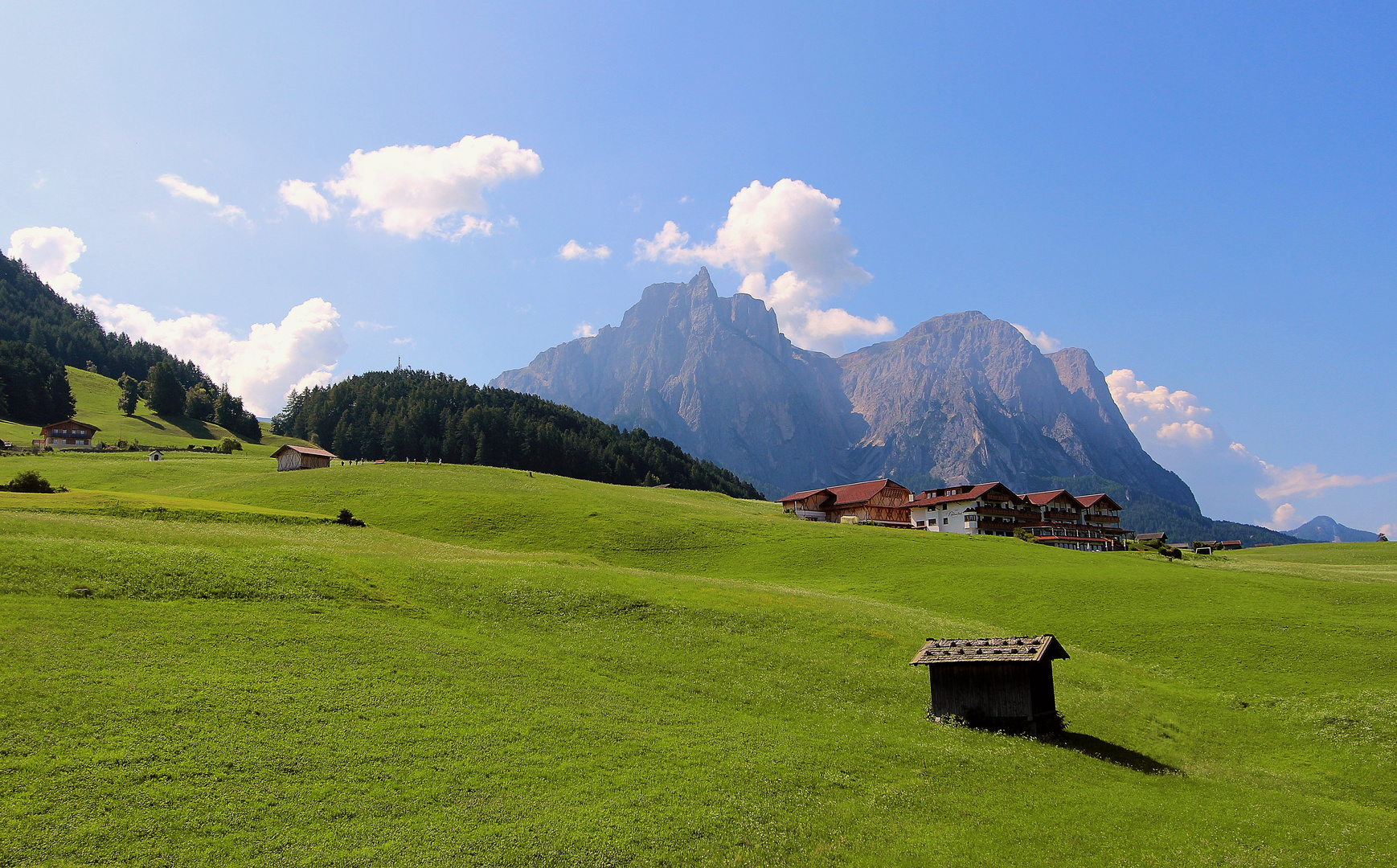 Grüne Idylle