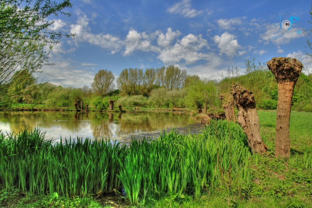 grüne Idylle - tonemapped