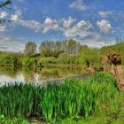 grüne Idylle - tonemapped