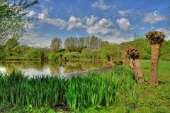 grüne Idylle - tonemapped