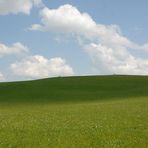 Grüne Idylle - Windows XP?