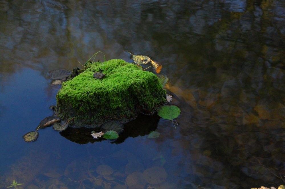 Grüne Insel