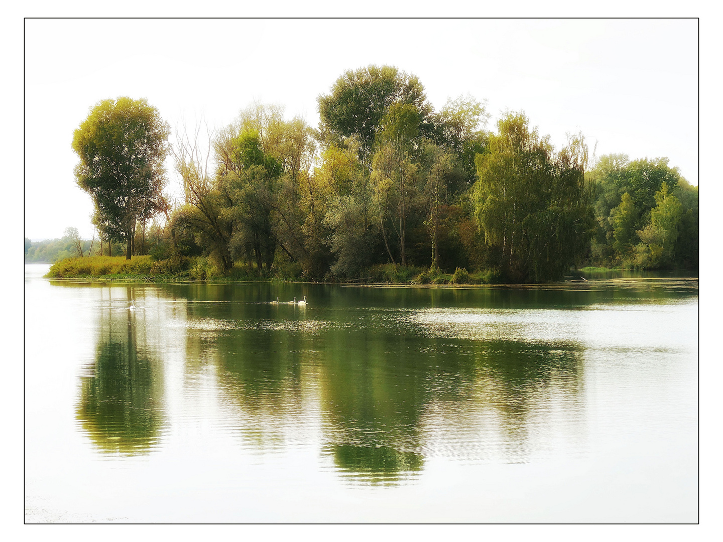 Grüne Insel...