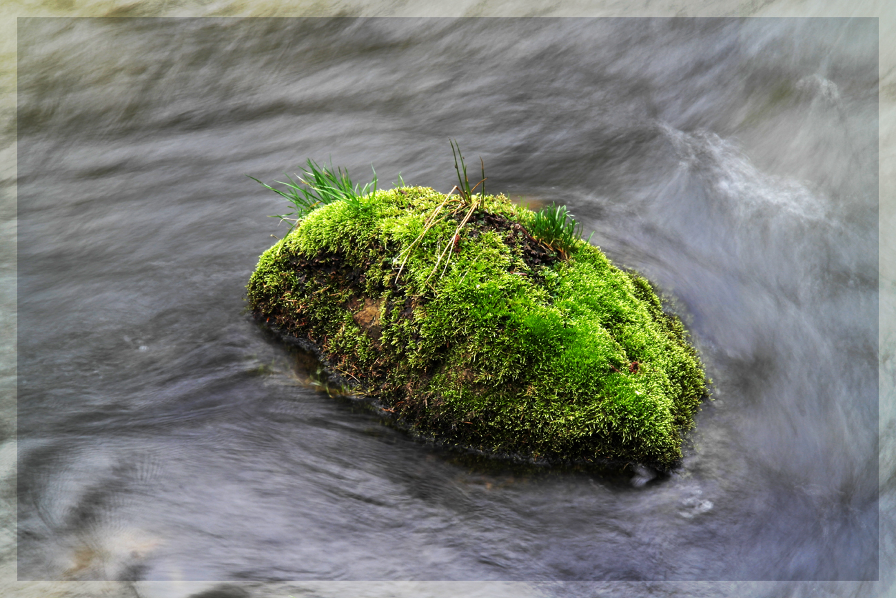 Grüne Insel