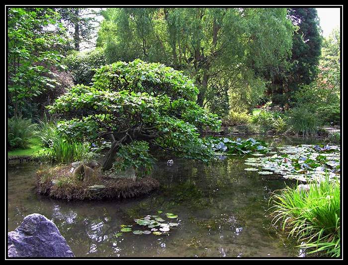 Grüne Insel