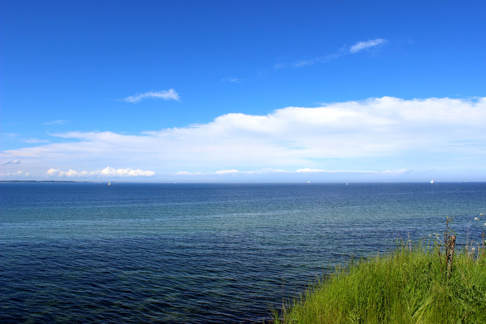 Grüne Insel auf der Ostsee