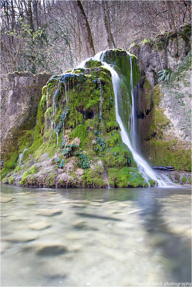 grüne insel