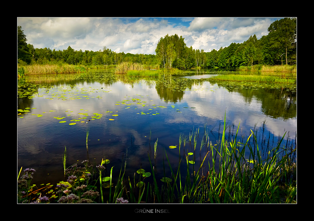 Grüne Insel