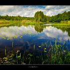 Grüne Insel