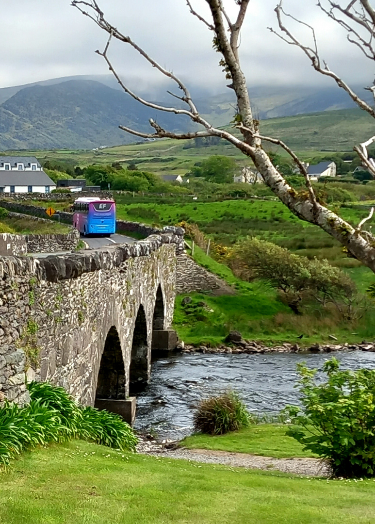 Grüne Insel Irland 