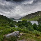 grüne Insel Irland