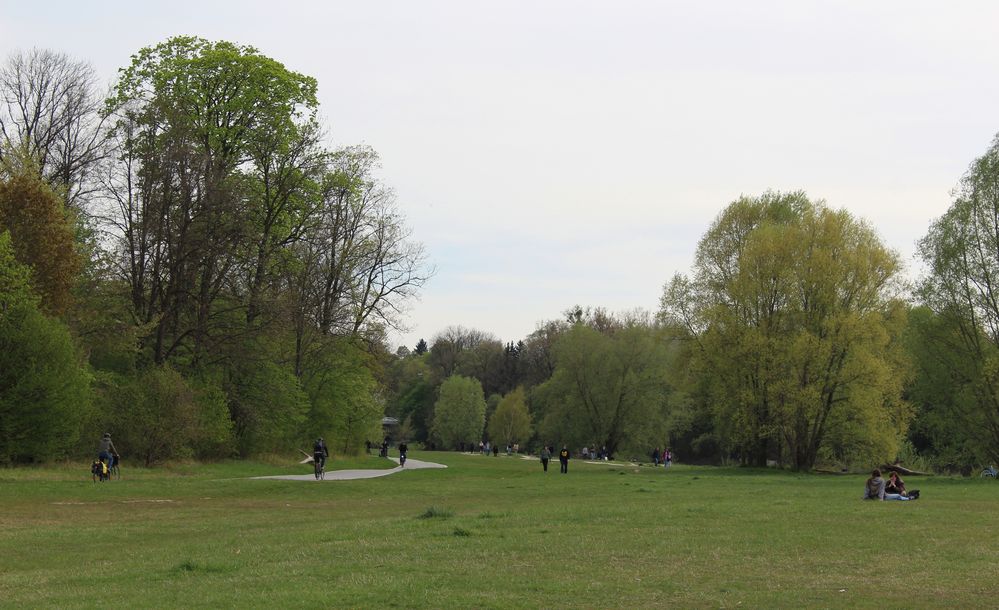 Grüne Isarauenlandschaft