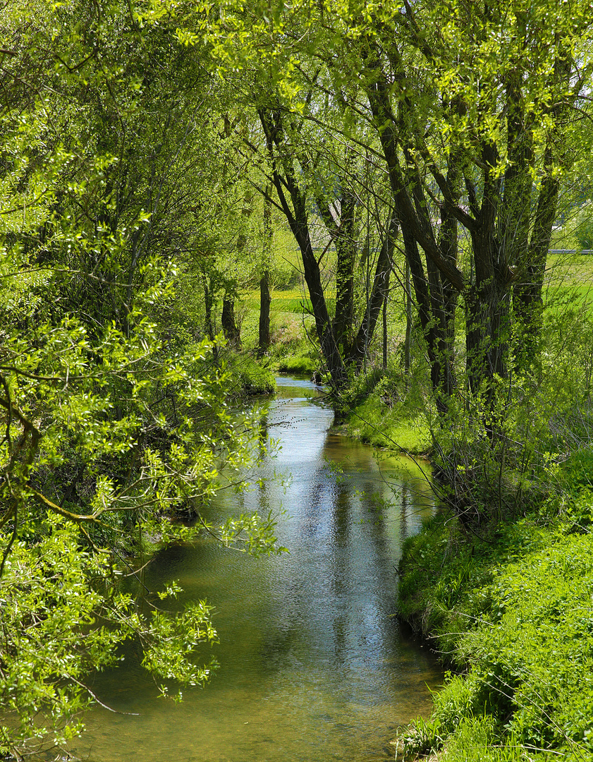 grüne jagst Foto & Bild natur, fluß Bilder auf