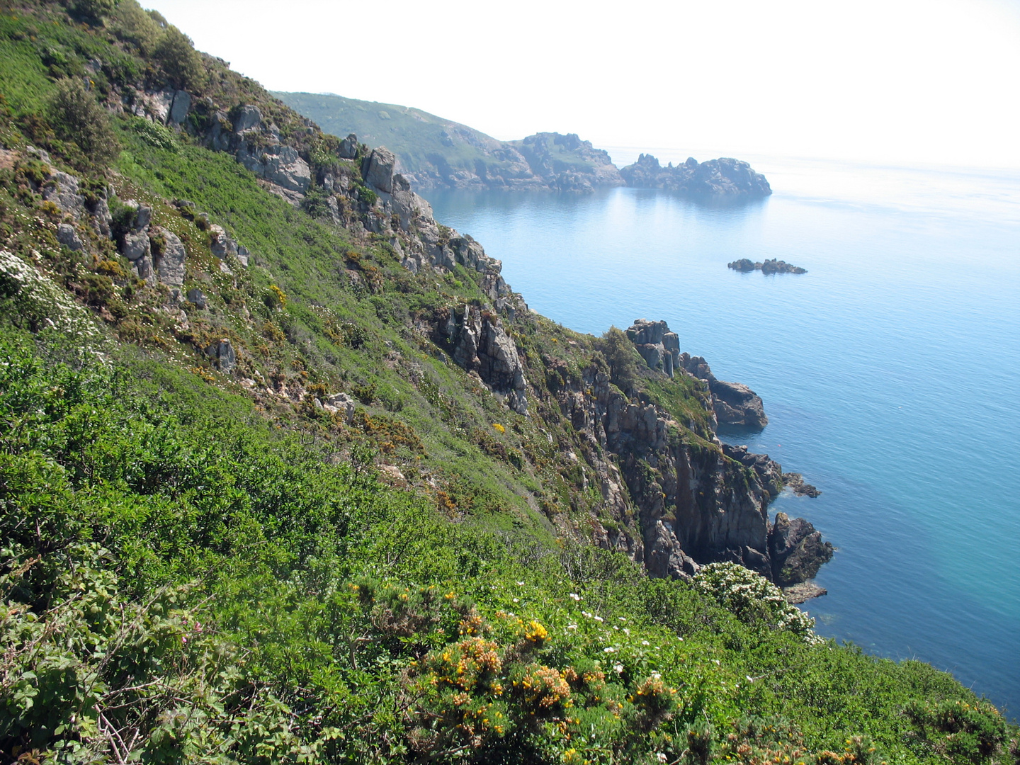 Grüne Kanalinsel Guernsey