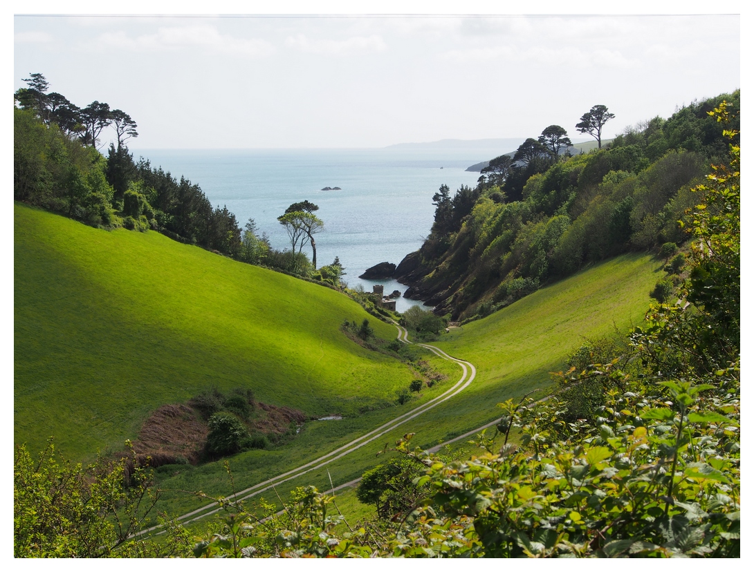 Grüne Küstenlandschaft