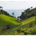 Grüne Küstenlandschaft