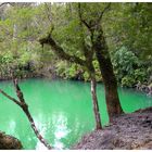 Gruene Lagune am Lago Llanquihue