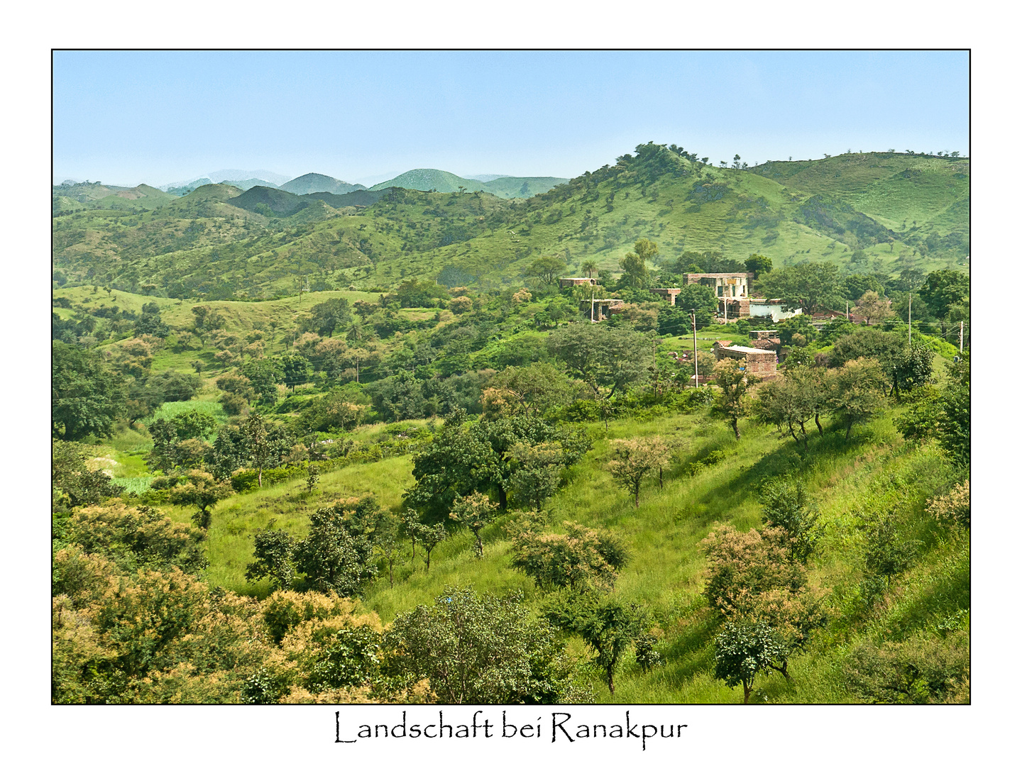 Grüne Landschaft