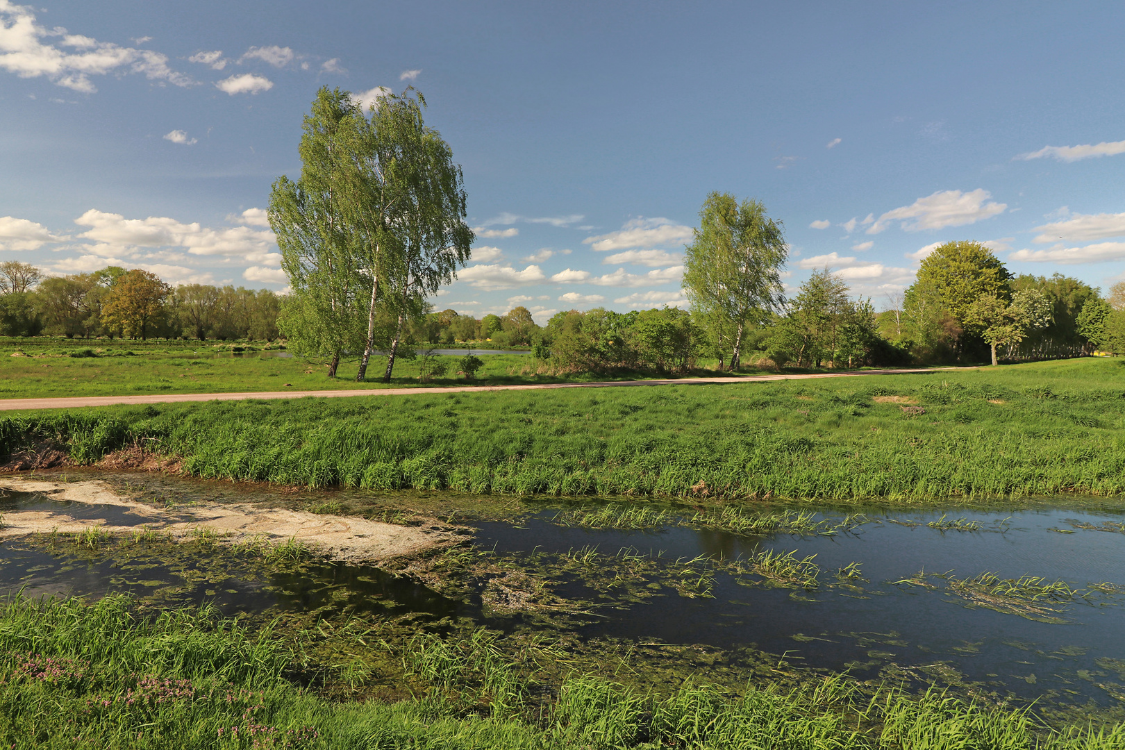 Grüne Landschaft