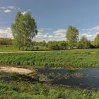 Grüne Landschaft