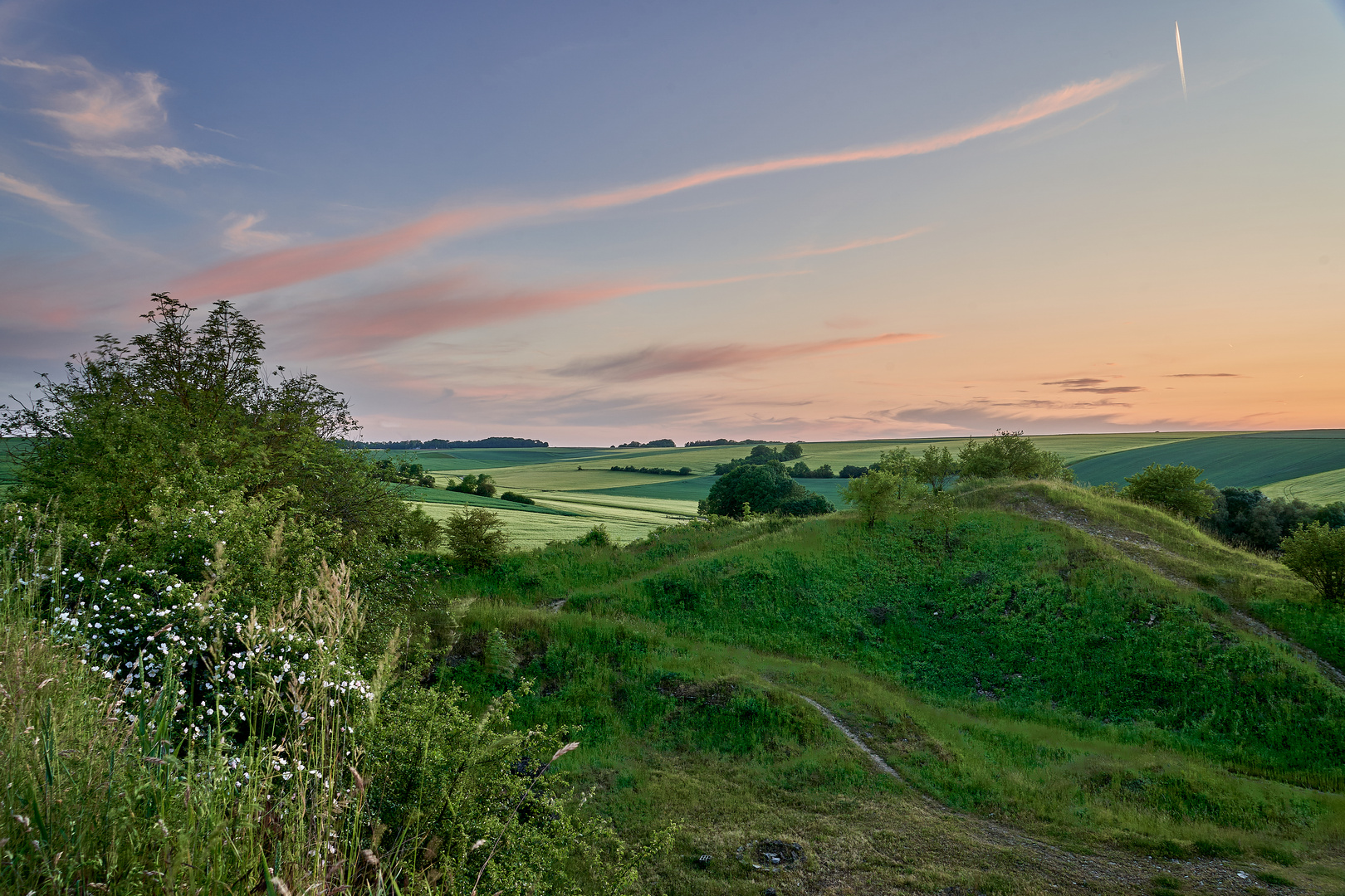 Grüne Landschaft 