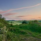 Grüne Landschaft 