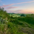 Grüne Landschaft 