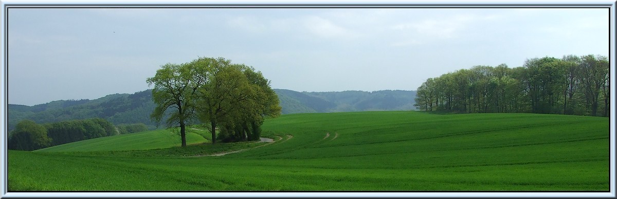 Grüne Landschaft