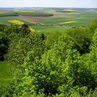 grüne Landschaft