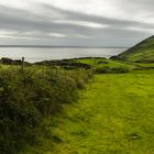 grüne Landschaft - grauer Himmel