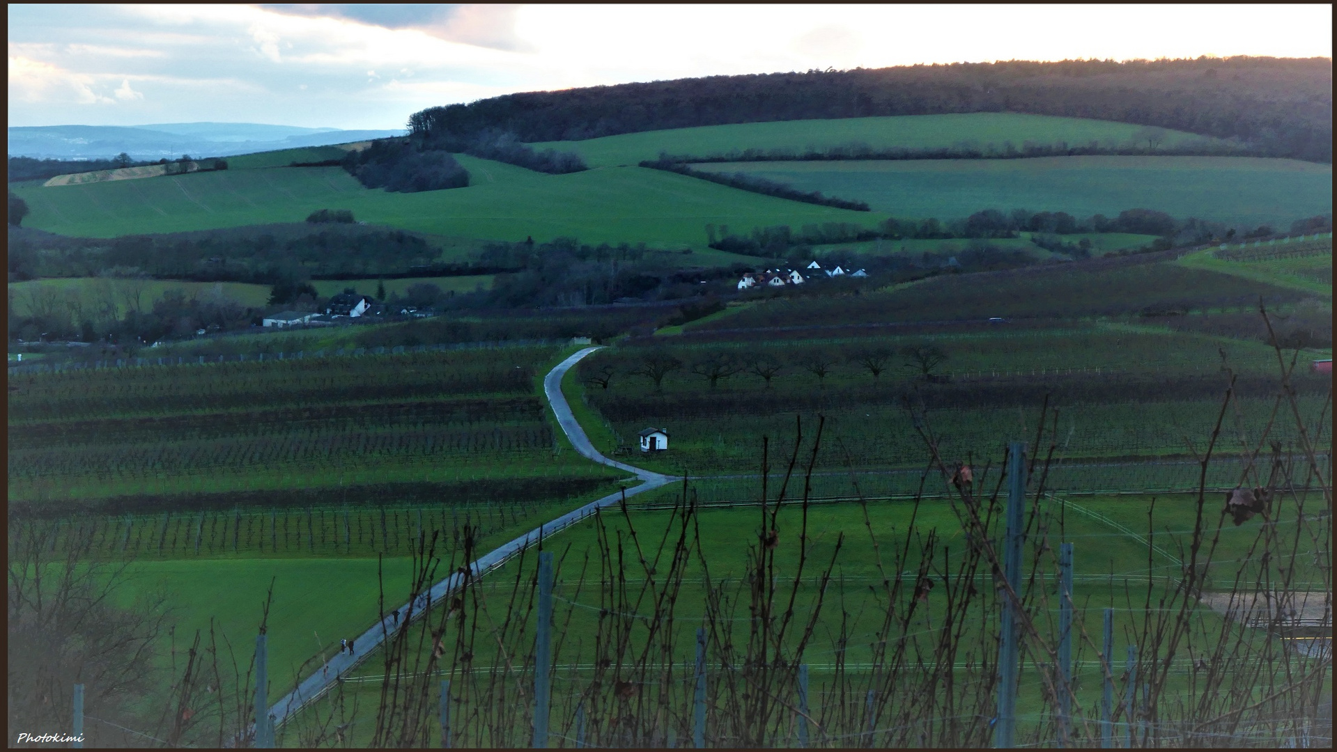 Grüne Landschaft im Winter