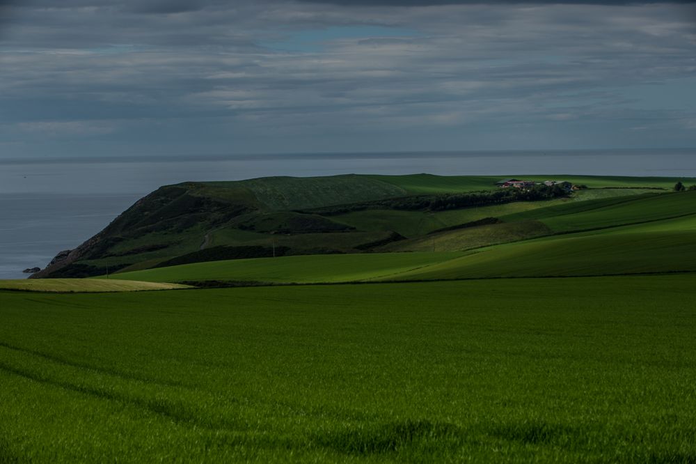 Grüne Landschaft und blauer Himmel