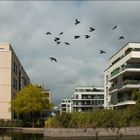 Grüne Mitte in Essen